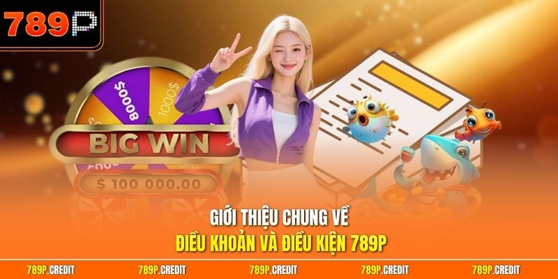 Giới thiệu chung về điều khoản và điều kiện 789P