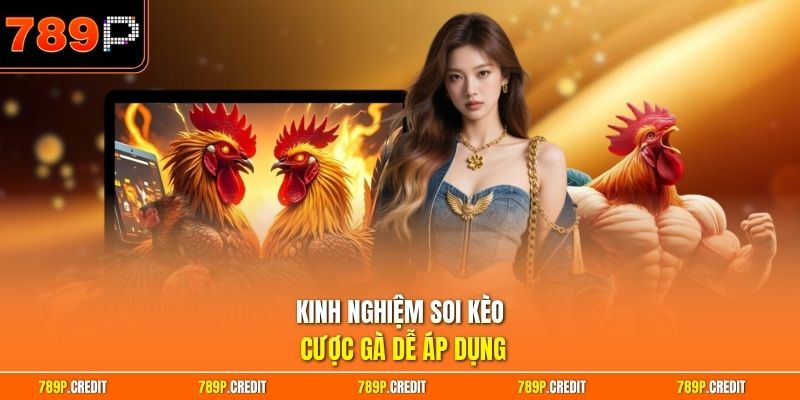Kinh nghiệm soi kèo cược gà dễ áp dụng