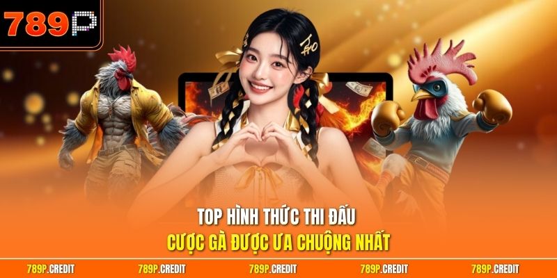 Top hình thức thi đấu cược gà được ưa chuộng nhất